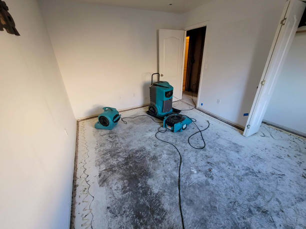 Best Sewage cleanup and water damage restoration  in California, PA