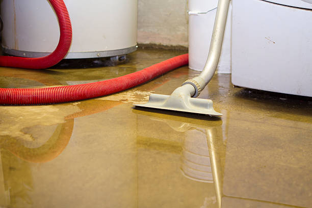 Best Professional water damage repair  in California, PA