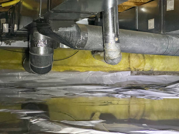 Best Water damage contractors near me  in California, PA