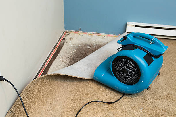 Best Water damage repair service  in California, PA